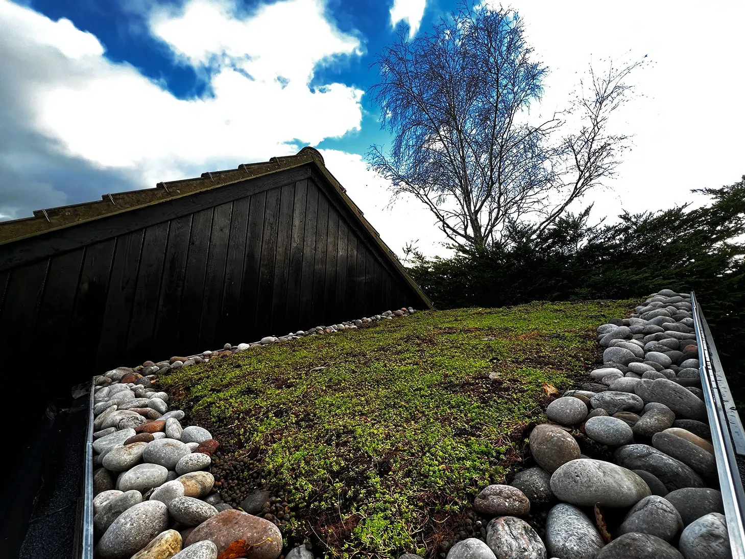 a green roof with rocks and grass in front of it